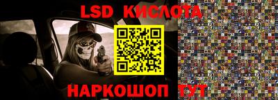 прущие крисы Бийск