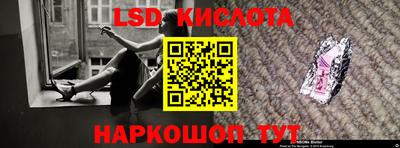 прущие крисы Бийск