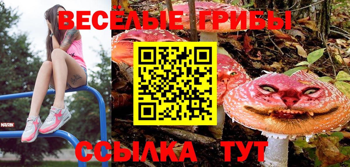 Галлюциногенные грибы GOLDEN TEACHER  купить наркотик  Вход с VPN  Клинцы  Галлюциногенные грибы мухоморы 