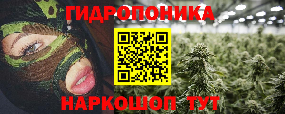 Конопля ГИДРОПОН Клинцы